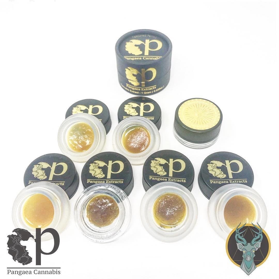 Pangaea Extracts